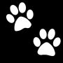 Plantillas Glittertattoo Emoji Paws (pack de 5)